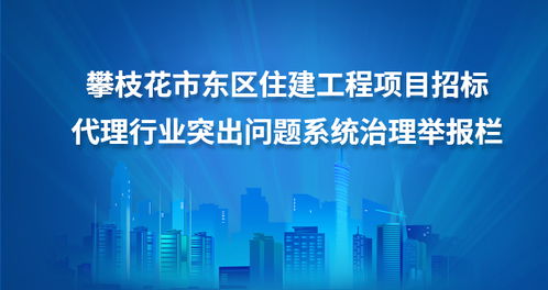 攀枝花市东区人民政府