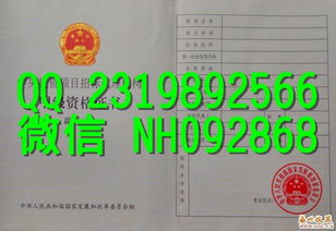 中央投资项目招标代理机构甲级资格证书解析